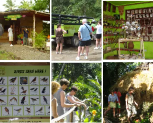 St. Lucia transportation